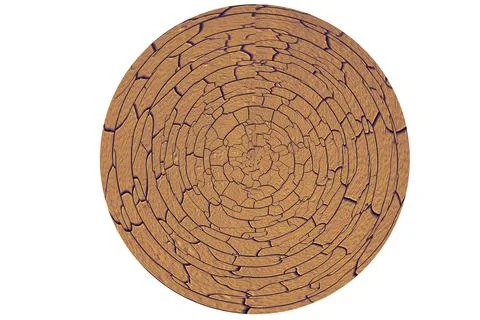 Abstract cycle wood texture surface is black color cracked and swelling on is 库存照片