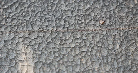 Abstract Damaged Leather Texture Video stock 335562598