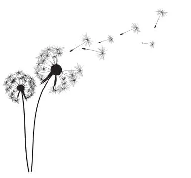 Abstract Dandelion Background Illustration Ilustração Stock