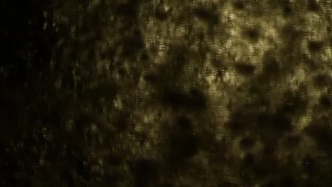 Abstract Dappled Light and Shadow Pattern in Warm Dark Tones Stock Footage 345660663