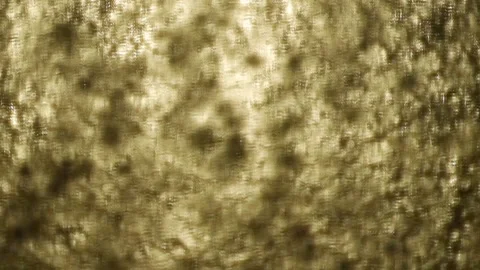 Abstract Dappled Light and Shadow Pattern in Warm Dark Tones Stock Footage 347818142