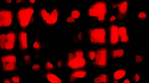 Abstract dark background with blinking blurry glowing red spots. 3d render loope Stock-Footage 301515194