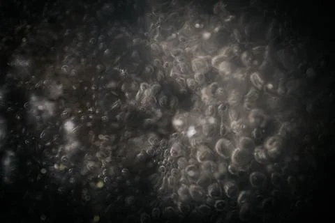 Abstract dark background with blurred bubbles and light reflections creatin.. Stock Photos