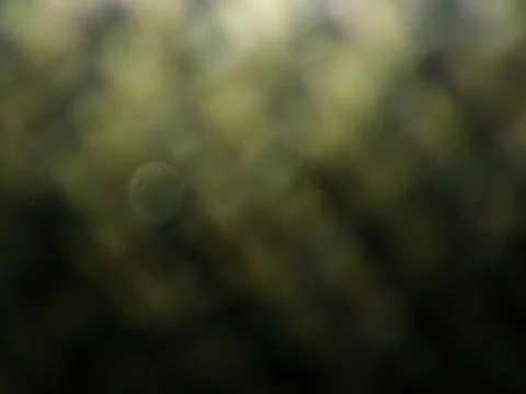 Abstract dark background with different elements in space 写真素材