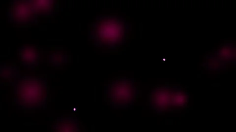 Abstract dark background with glowing soft purple pink circular light spots.. Stock-Footage 343611598