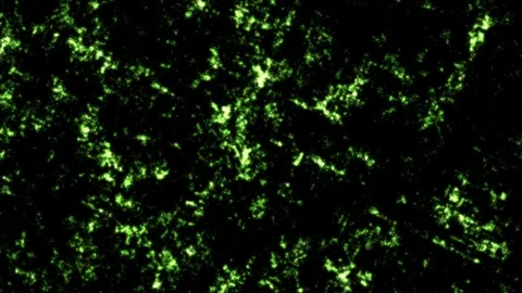 Abstract Dark Background in Green Stock Footage 95262762