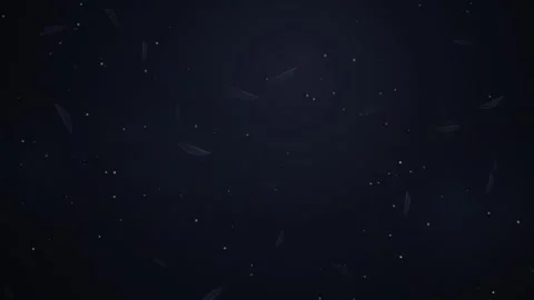 Abstract dark background with slowly falling particles and transparent leav.. Видео 341960141