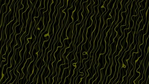 Abstract dark background with wavy lines forming organic ripple pattern ani.. Stock Footage 329942773