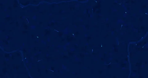 Abstract dark blue background with glowing cyan light trails and particles Stock Footage 337217846