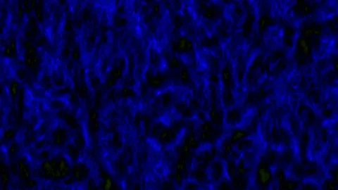 Abstract Dark Blue Background with Motion Stock Footage 328306505