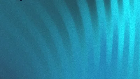 Abstract dark blue twirl gradient featuring grainy Stock Footage 319295582