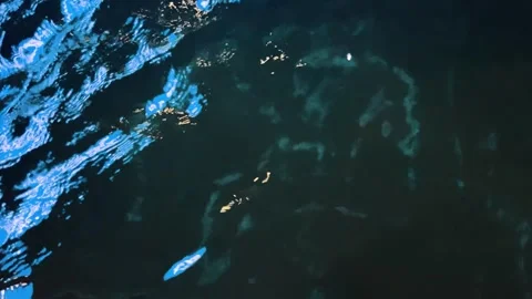 Abstract dark blue water surface with light reflections 스톡 동영상 340580909