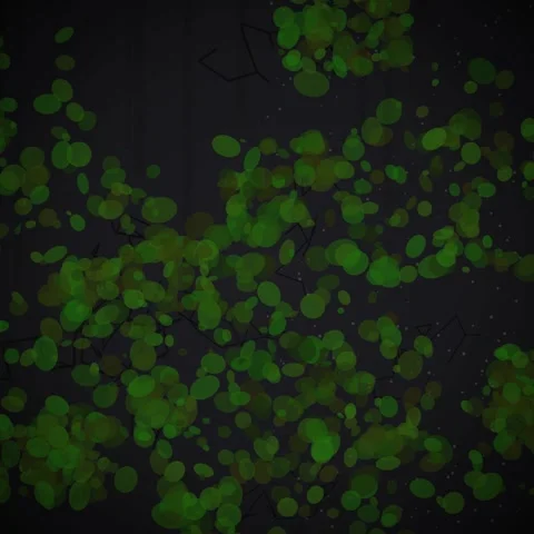 Abstract dark gray background with subtle bokeh particle animation Stock Footage 345690041