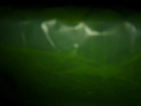 Abstract dark green background with different elements in space in close up e Stock Photos