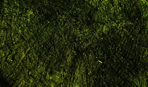 Abstract dark green background with light flecks. Stock Photos