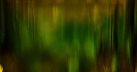 Abstract Dark Green Background with Moving Lens Flares and Anamorphic Bokeh Vídeos de archivo 341337830
