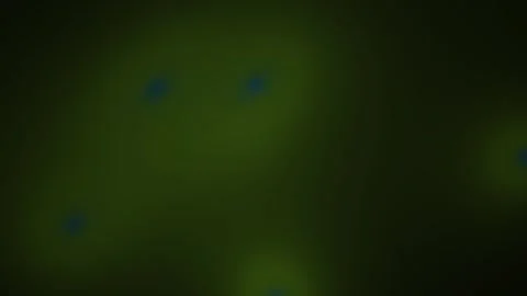 Abstract Dark Green Background with Subtle Blue and Yellow Hues. Stock Footage 334435315