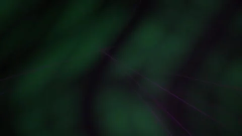 Abstract Dark Green Forest Foliage Background with Subtle Light Leaks. Stock Footage 340487715