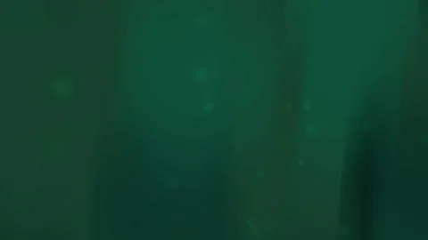 Abstract Dark Green Gradient Background with Soft Light Effect Stock Footage 303398349