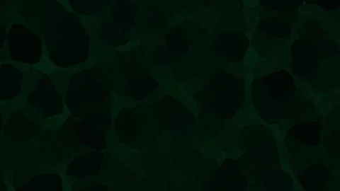 Abstract dark green organic cellular structures moving with subtle light sh.. Stock Footage 340949857