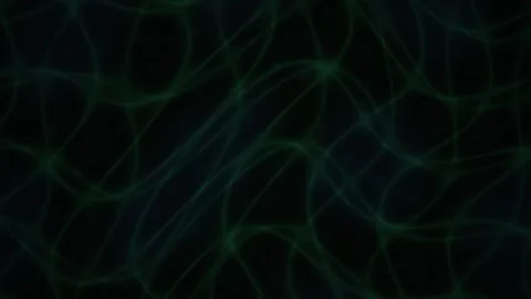 Abstract Dark Green Organic Network Pattern Background. Видео 334436627