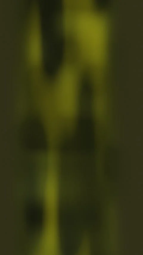 Abstract dark green pattern with soft focus. 2d animation Stock Footage 346281902