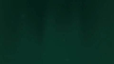 Abstract Dark Green Wavy Background with Smooth and Soft Light Effect Vidéo 303398322