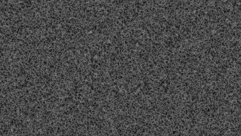 Abstract Dark Grey Textured Background Fine Fibers Macro Detail Seamless Loop Stock Footage 339710555