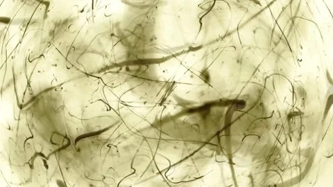 Abstract dark lines curving and straightening on a light background. Video stock 250536071