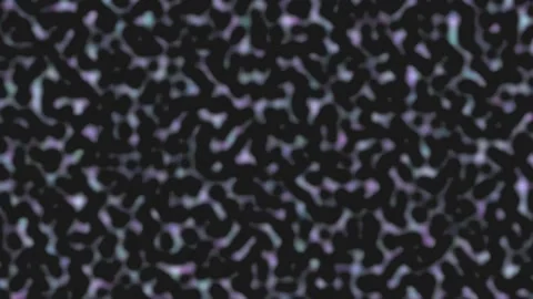 Abstract Dark Liquid Noise Background with Morphing Cellular Pattern Stock Footage 342486843