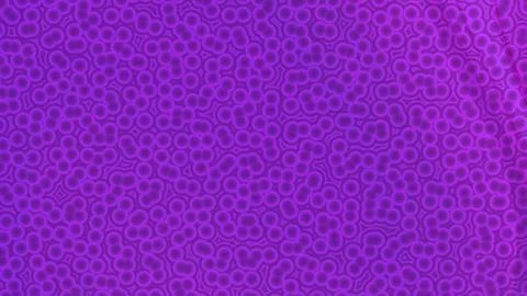 Abstract Dark Magenta Background with Cellular Bubble Pattern 库存插图
