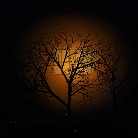Abstract dark orange sunset silhouette with barren tree branches background Stock Footage 345691125