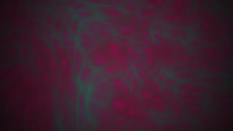 Abstract Dark Red and Teal Grunge Texture Motion Background. Stock Footage 341776251