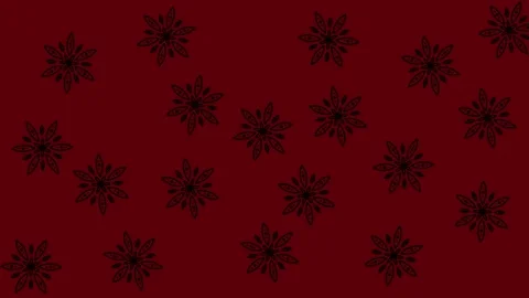 Abstract Dark Red Background with Black Floral Ornamental Patterns Stock Footage 344875487