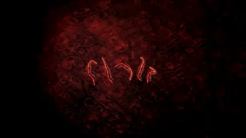 Abstract dark red glowing organic texture background Stock Footage 336397942