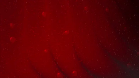 Abstract Dark Red Texture with Water Drop and Rain Effect Background	 Stock Footage 319920743