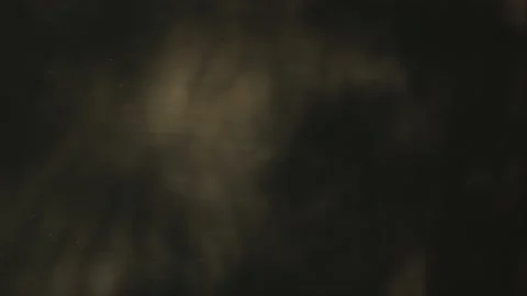 Abstract dark shadows moving on wall plant reflections shaking in wind Video stock 168669521