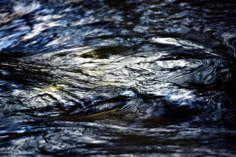 Abstract dark water surface Stock Photos