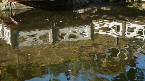 Abstract dark water surface with reflections. Wave and ripple on dark surface Видео 104060110