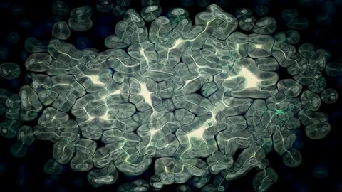 Abstract Data Forms Flicker, Ripple and Pulse Stock Footage 88823045