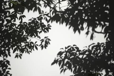 Abstract daytime shadows from outdoors Stock Photos