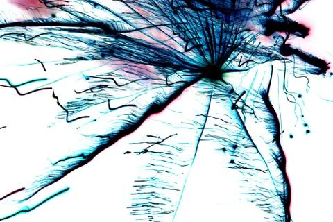 Abstract decoration Stock Photos