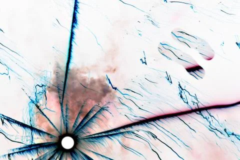 Abstract decoration Stock Photos