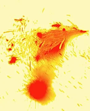 Abstract decoration Stock Photos