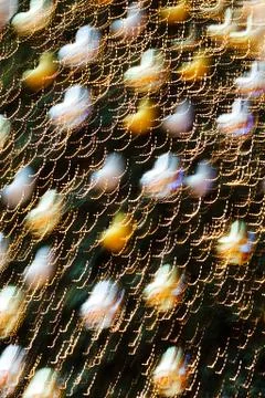 Abstract decorations Stock Photos