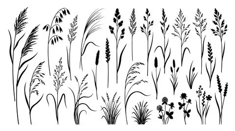 Abstract decorative brush strokes and lines Stock Illustration