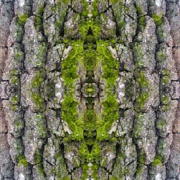 Abstract decorative mossy bark background. Seamless colorful pattern. 스톡 일러스트