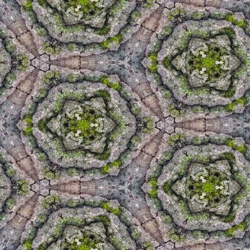 Abstract decorative mossy bark background. Seamless colorful pattern. Illustrazione stock