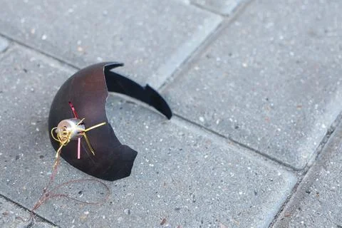 An Abstract Decorative Object Encountered on a Paved Surface Beneath Natural 写真素材