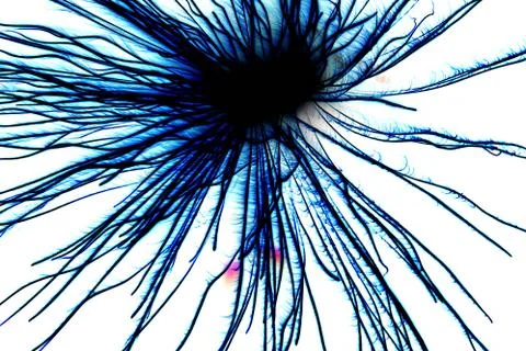 Abstract decorative Stock Photos